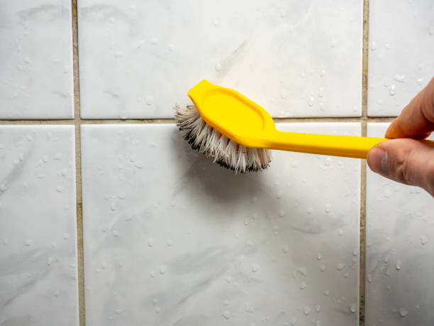 Best Industrial Mold Remediation in Deerfield, WI