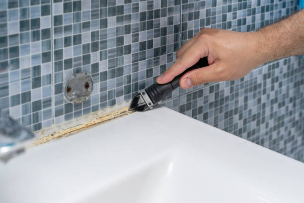Best Emergency Mold Remediation in Deerfield, WI