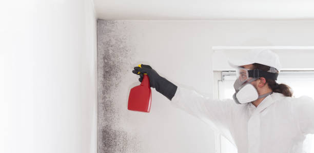 Best HVAC Mold Remediation in Deerfield, WI